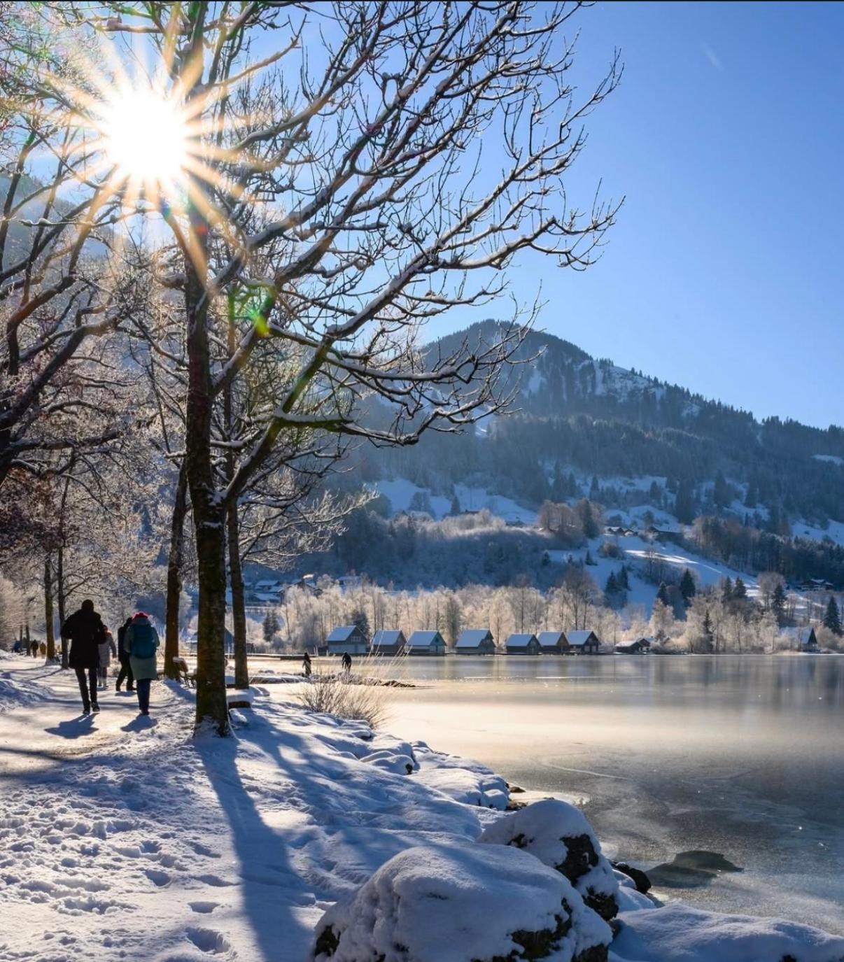 Ferienwohnung Immenstadt Im Allgaeu- Ruhig, Gemuetlich & 5Min Zum Alpsee Eksteriør billede